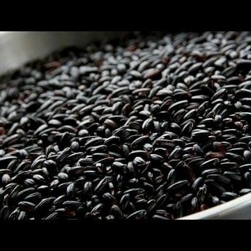

KETAN-BERAS- BERAS KETAN HITAM / KETAN HITAM / KETAN 1 KG -BERAS-KETAN.