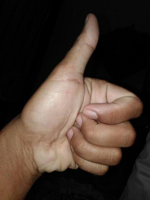 Pintar Facil Tool Alat Bantu Cat Tembok Dinding Tools Paint Bangunan Kuas Cat