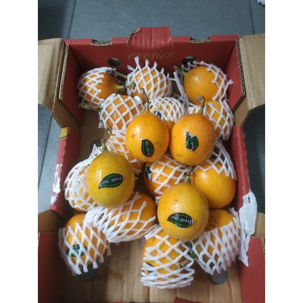 

Buah Markisa Ekuador 1 Dus (2 KG) Fresh Import