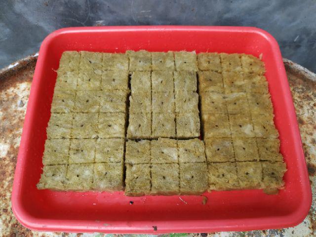 Media Tanam Hidroponik Rockwool Merk Cultilene Asli Ukuran 21 X 15 X 7.5 Cm 1/8 Slab Rockwoll