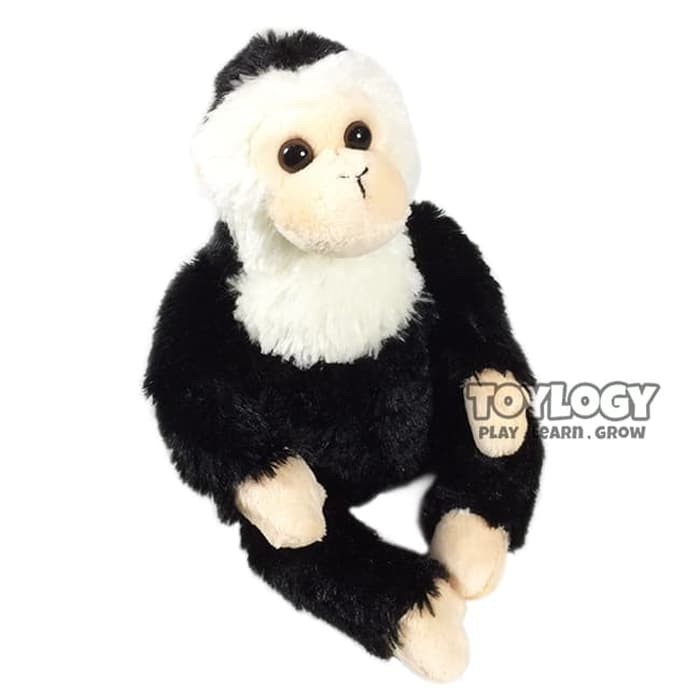 capuchin stuffed animal