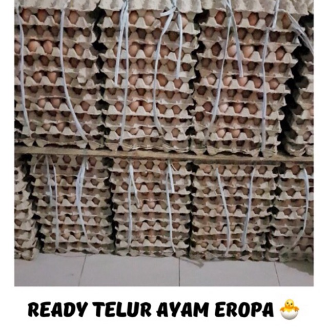 

Telur ayam EROPA