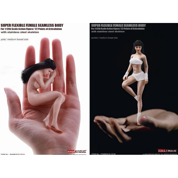 New Phicen Tbleague Female Body Phmb2018 T01 T01A T01B 1/12