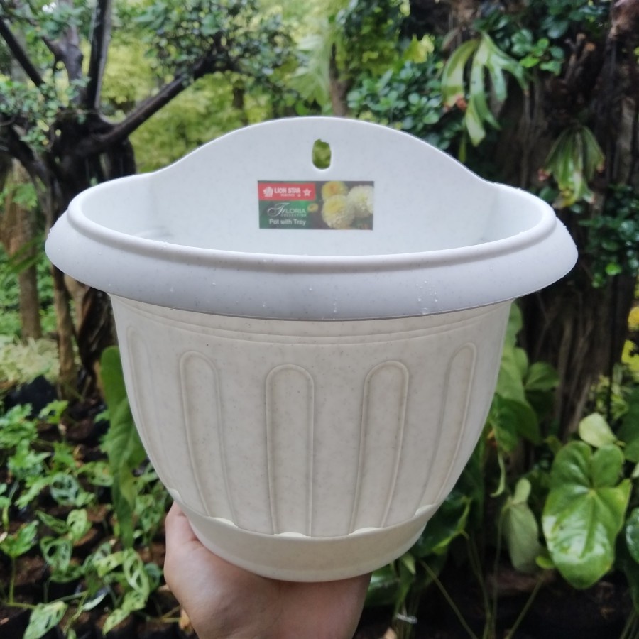 Pot Bunga Tempel Lion Star Lotus No. 6 Putih / Pot Dinding