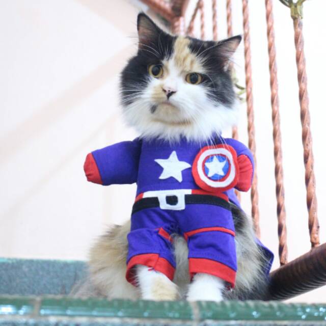 Kostum kapten amerika untuk kucing dan anjing size S M L XL