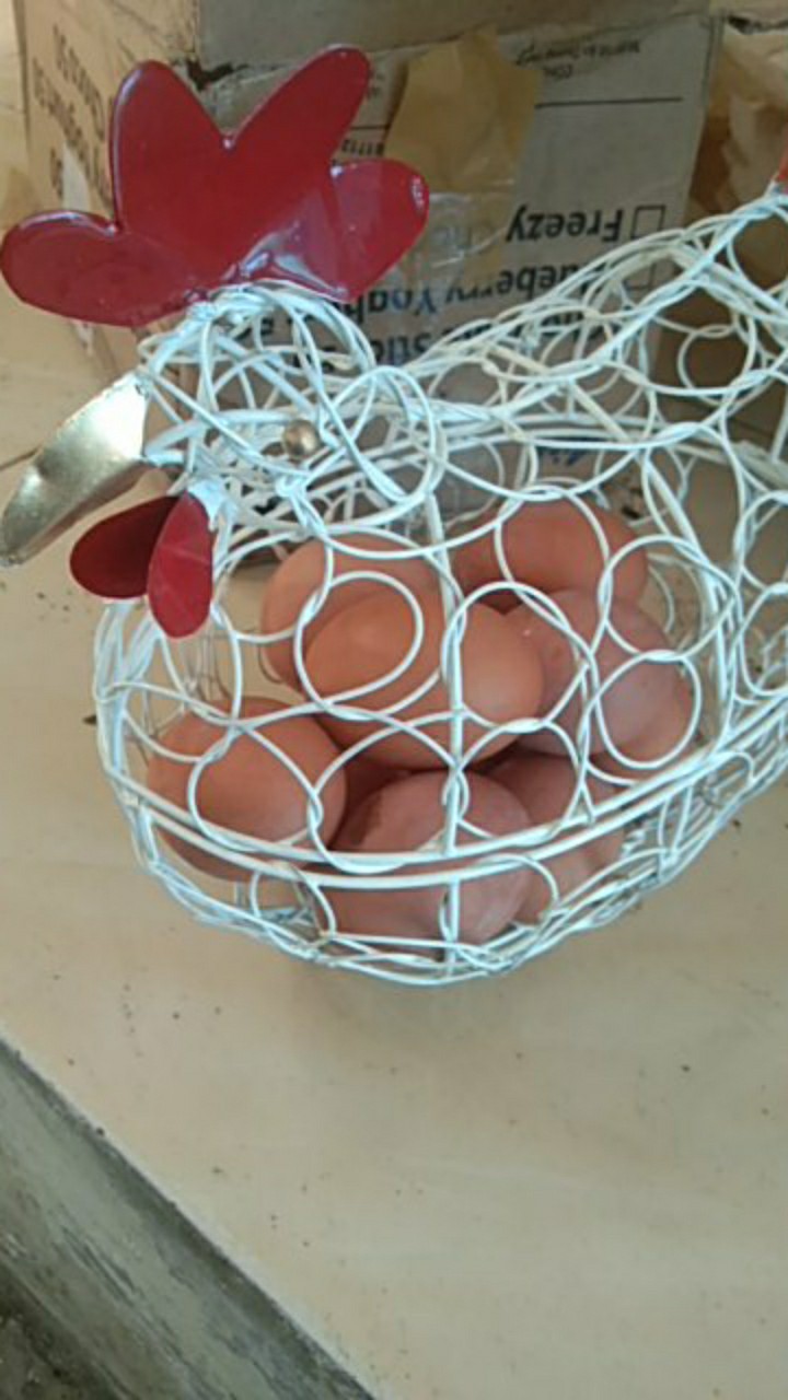 Keranjang Telur Model Ayam Xl  (ukuran M/l/xxl  Bisa Diorder Di Etalase Yg Berbeda)