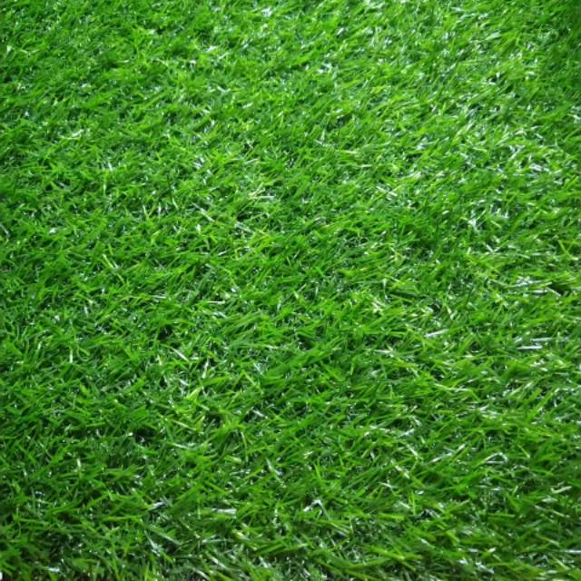 RUMPUT SINTETIS /KARPET RUMPUT/UNTUK DEKORASI | Shopee Indonesia