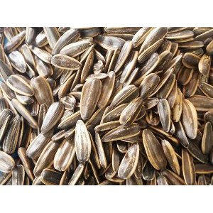 

Jual kwaci my vii bunga matahari kulaitas super 2kg Murah