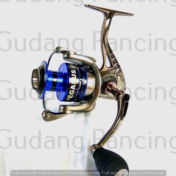 Reel Shino Pegasus 5000