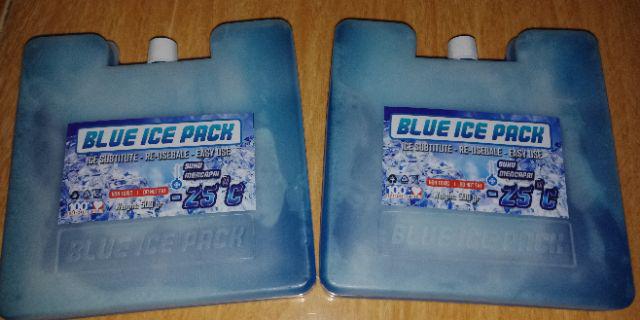 Icepack Kotak Frois 15x15x2.8 Cm Blue Ice Pack Coolpack