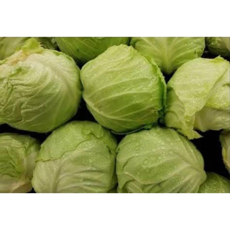 

Kol puih 1 kg/1buah