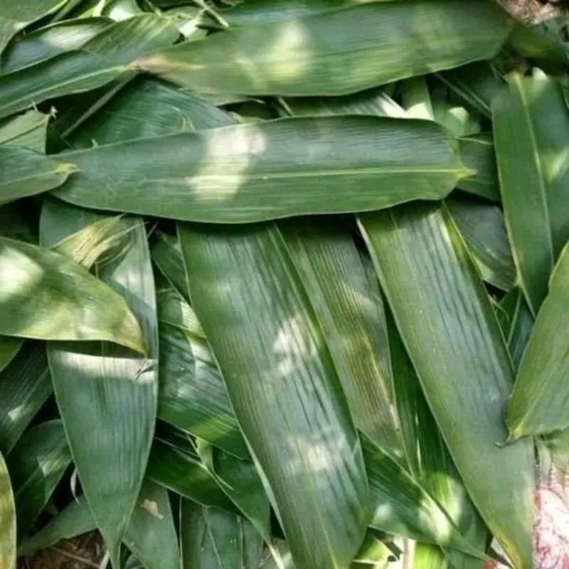 

Daun Bambu/ daun bakcang