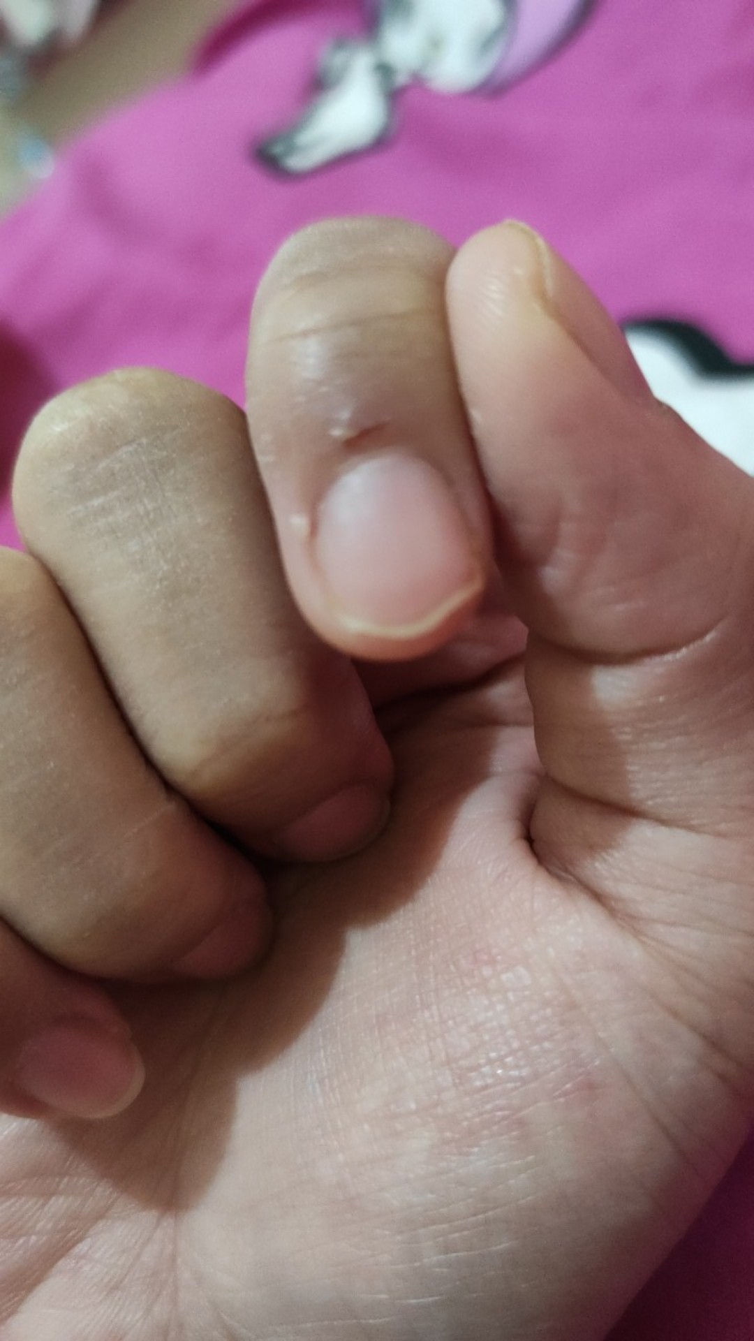 Bs Kotak Tisu Akrilik / Acrylic Tissue Box Panjang - Tebal 5mm & 3mm