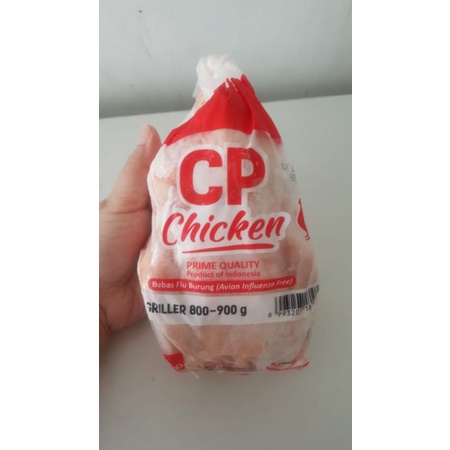 Ayam BOILER Frozen