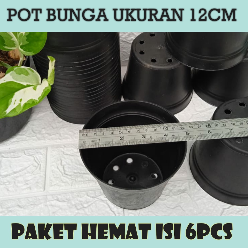 pot bunga ukuran 12 cm paket HEMAT isi 6 pcs pot bunga plastik lusinan murah pot tanaman terjangaku