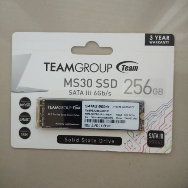 Team Group MS30 SSD 256GB M.2 2280 SATA III 6Gb/s