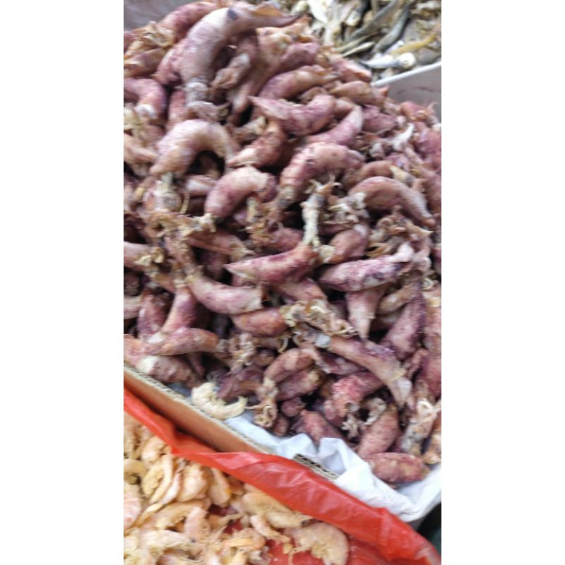 

Cumi sotong telor Medan 250g