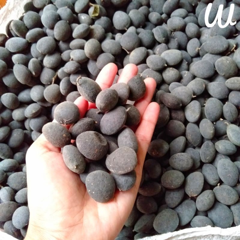 Asem Kuranji / 1 kg / asem Kranji / asem Ranji / asam keranji