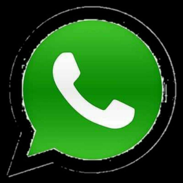 Box Container 150 L Shinpo- Cb 150