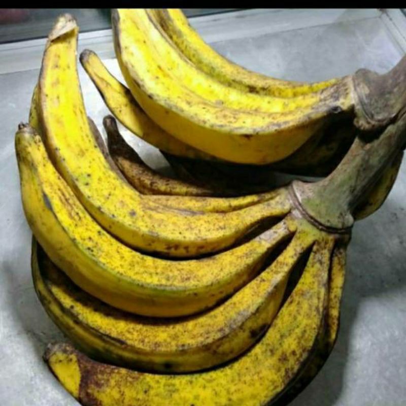 Pisang Tanduk perbuah