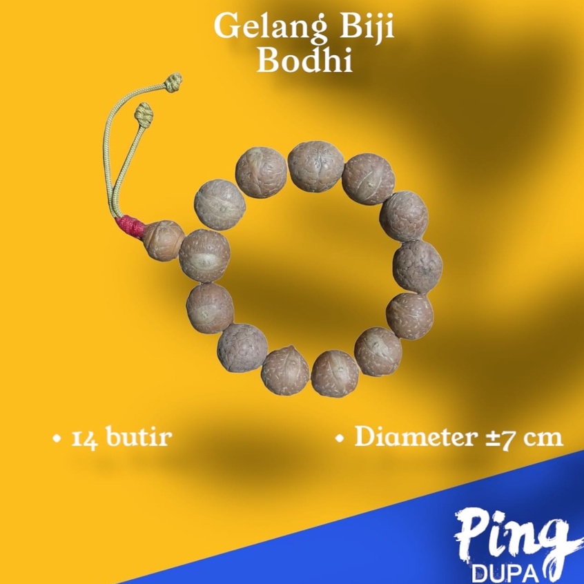 Gelang Bodhi Mala Asli Biji Pohon Bodhi dari Lumbini Nepal