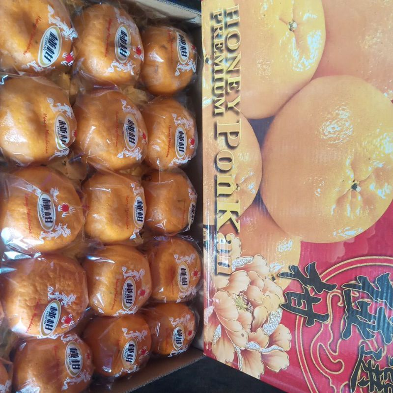 

Buah Jeruk Honey Ponkam Premium