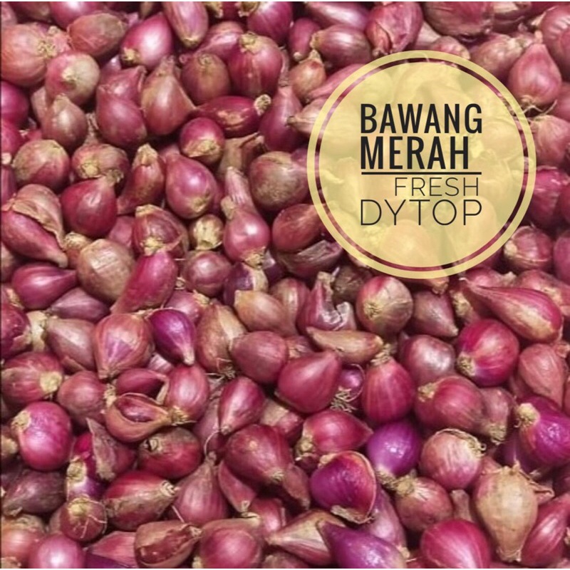 

Bawang Merah Berastagi Fresh Segar - 250 Gram