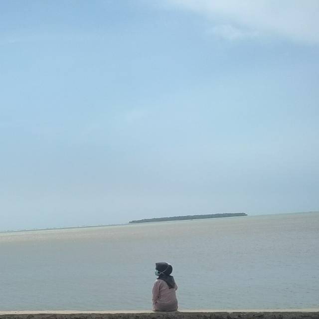 srimegawatidestiani007