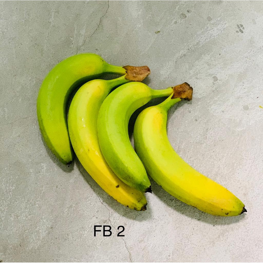 

Pisang Cavendish