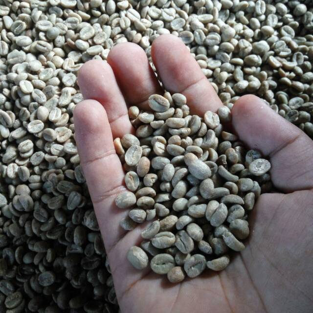 

Kopi Yellow Caturra Flores Manggarai