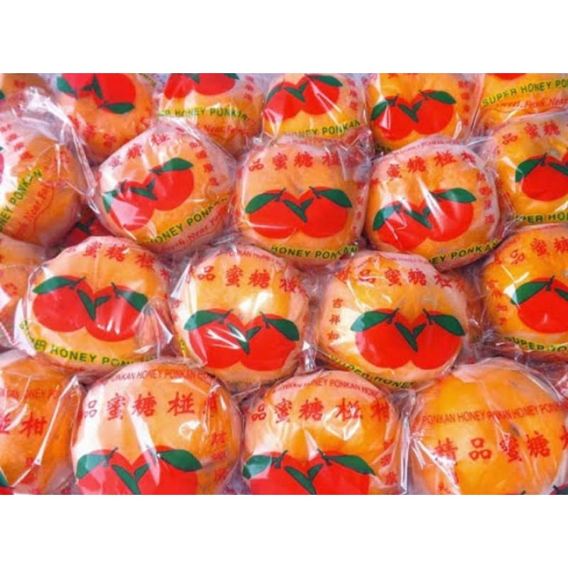 

Buah Jeruk Ponkam Fresh 1kg