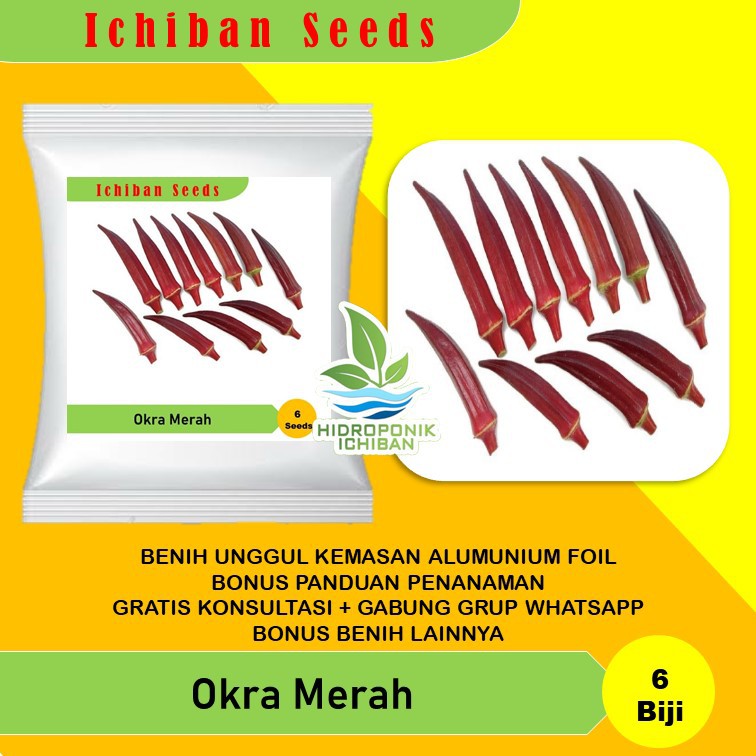 Benih Bibit Biji Okra Merah Carmine Splendor Known You Seed