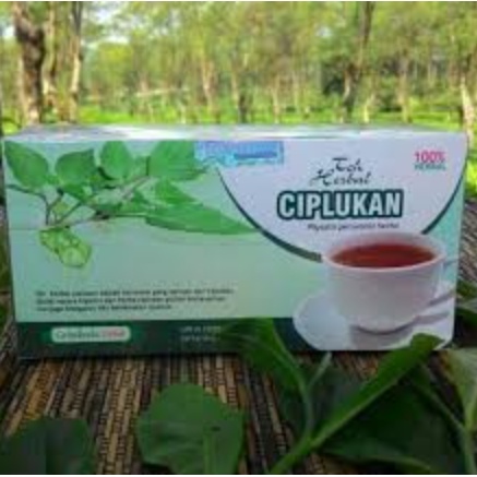 

teh ciplukan asli original ampuh mengobati diabetes alami tanpa efek samping berkualitas