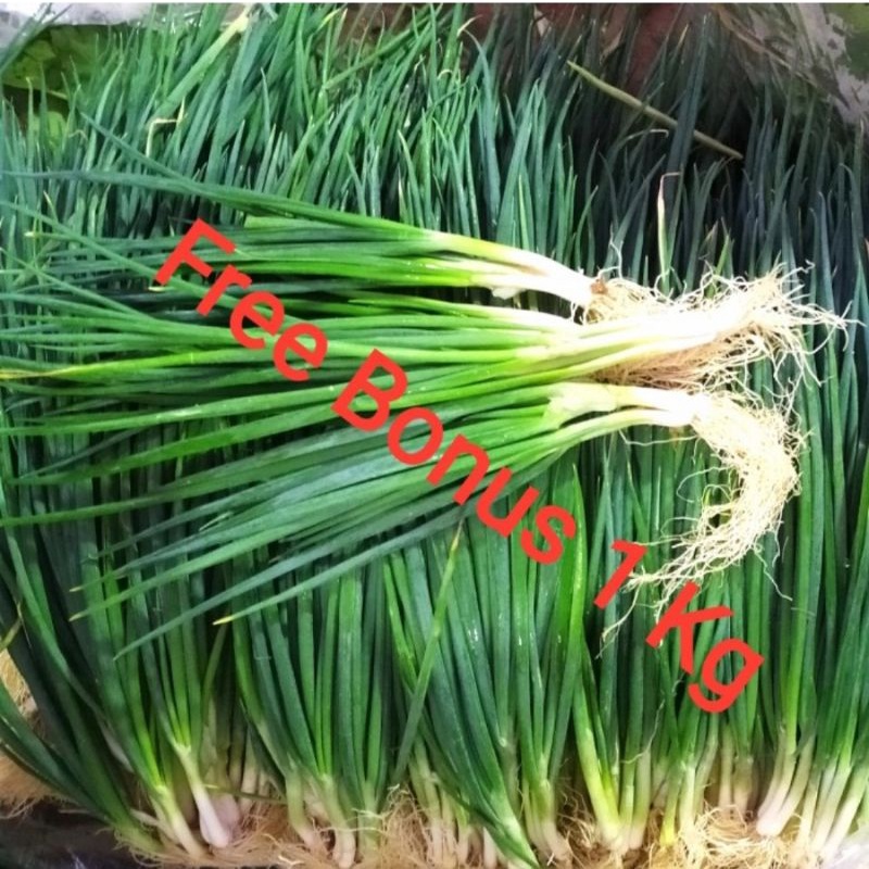 

Daun Bawang Kecil uk 1 kg + Gratis Bonus