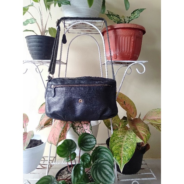 PAPILLON SECOND ORI MULUS CANTIK