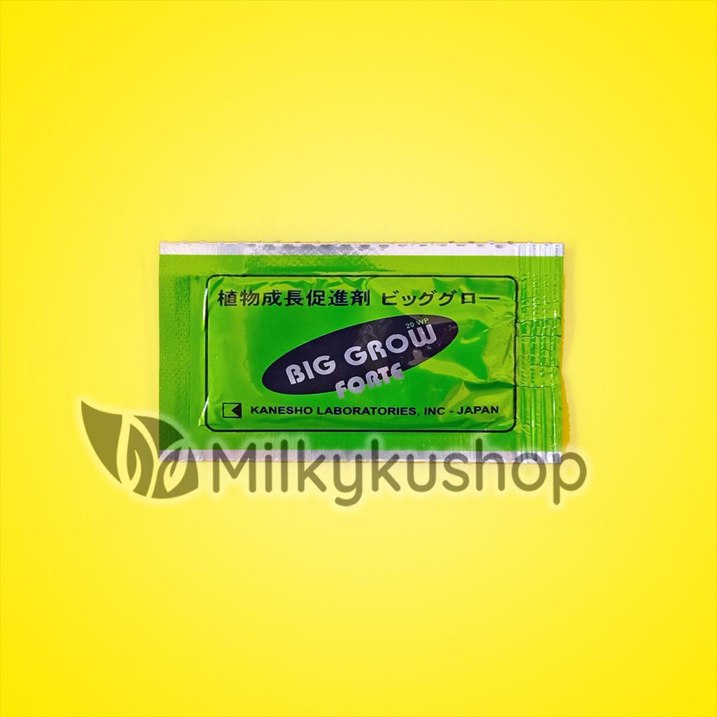 BIG GROW FORTE SACHET ZPT  TANAMAN GIBBERELLIC GIBERELIN