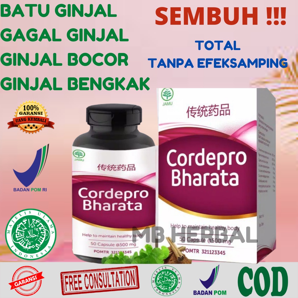 Harga Gagal Ginjal Cina Terbaru Juli 2022 Biggo Indonesia