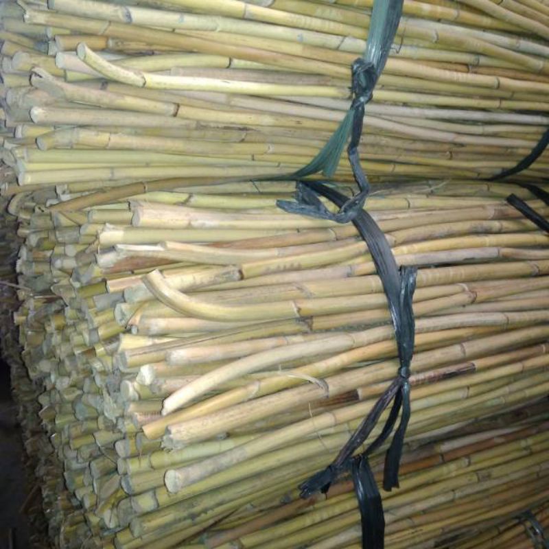 Rotan hutan/rotan stik/kayu rotan super panjang 1mtr