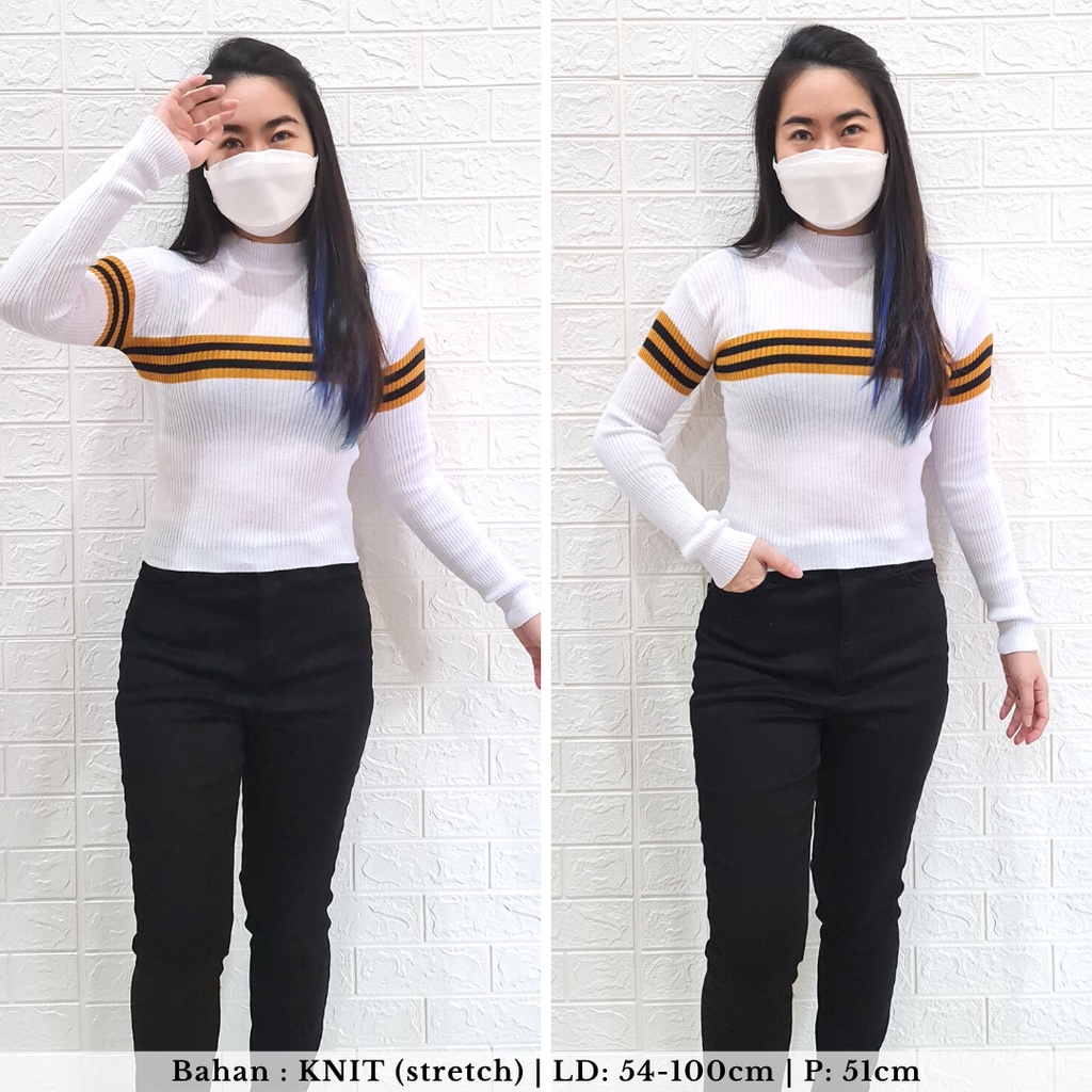 2634 stripe turtleneck knit