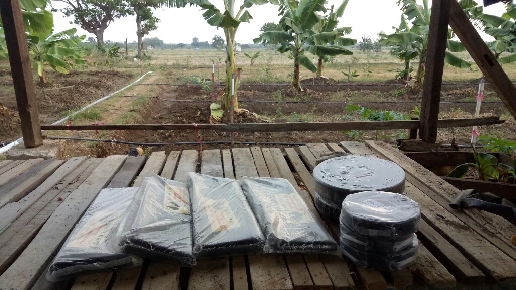 Selang Drip Irigasi  0.5 Mm X 4 Cm X 300 M