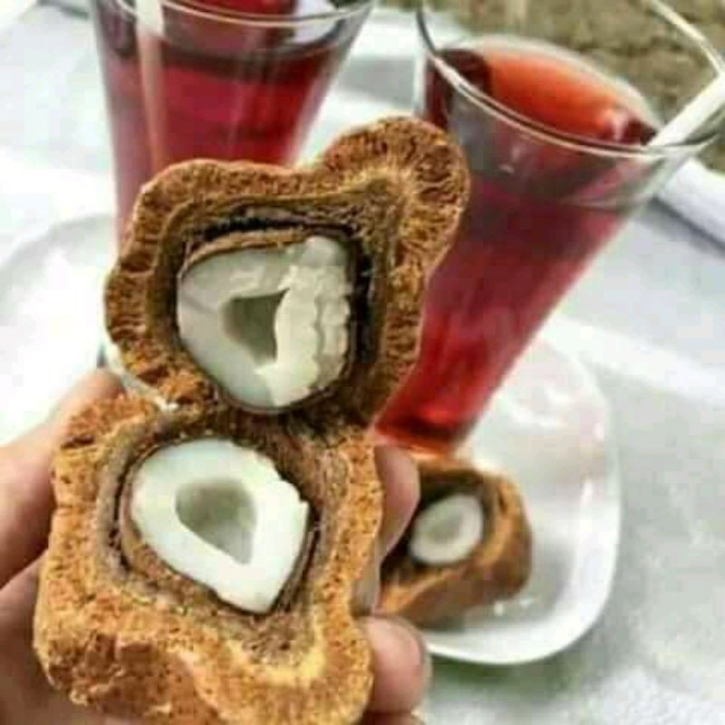 

Buah Zuriat PROMIL