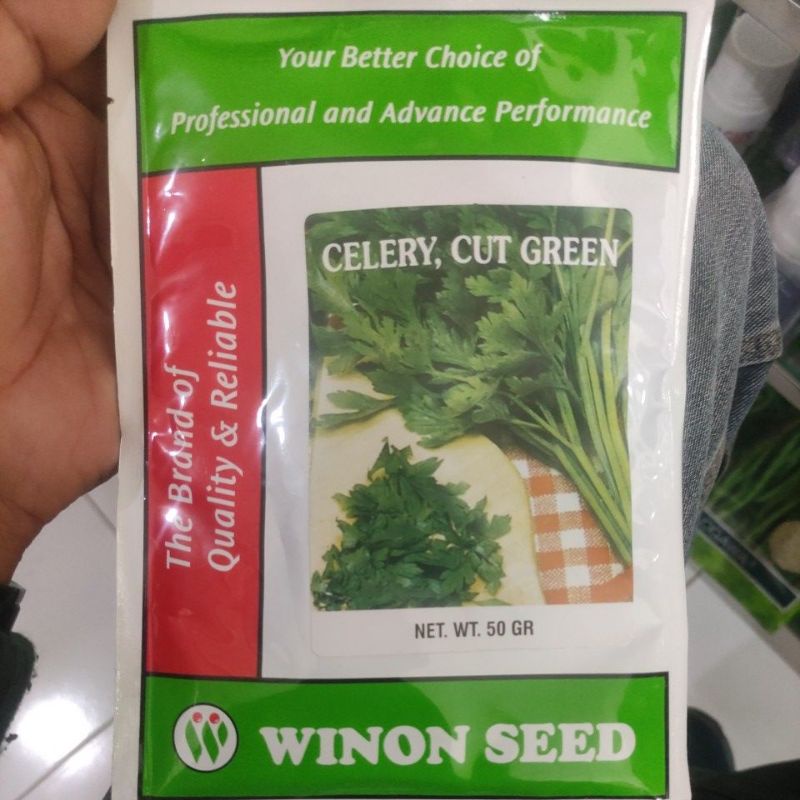 CELERY,CUT GREEN ( SELEDRI ) WINON SEED