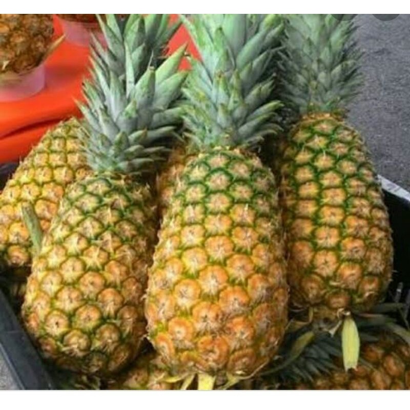 

buah nanas 2 biji