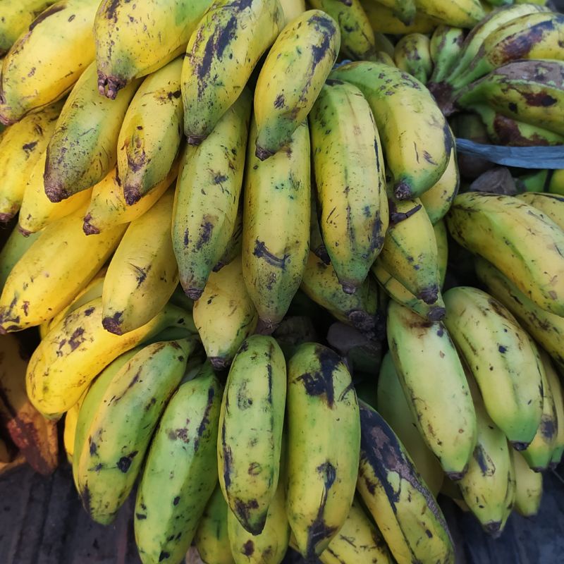 

Pisang Uli 1 kg Pisang Uli Murah Buah Segar Bekasi Buah Murah Bekasi