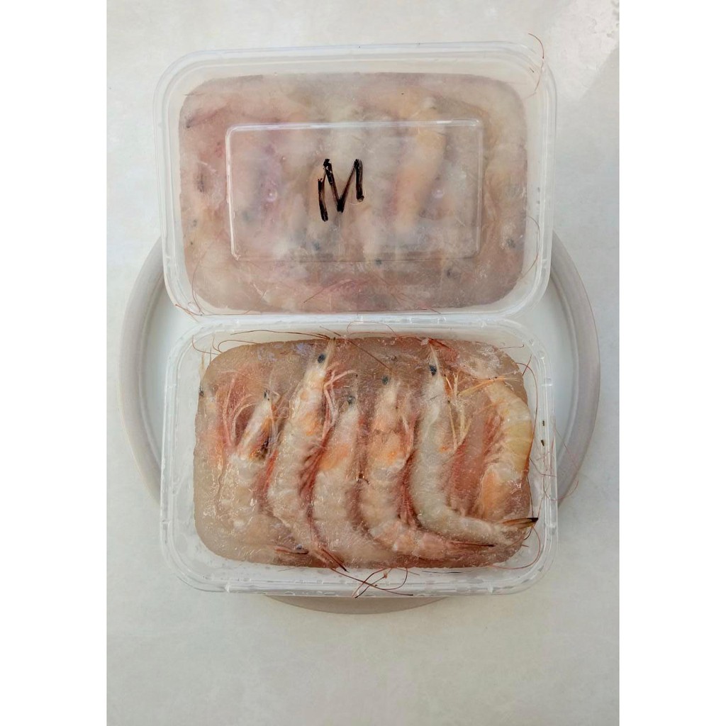 

UDANG LAUT SIZE MEDIUM