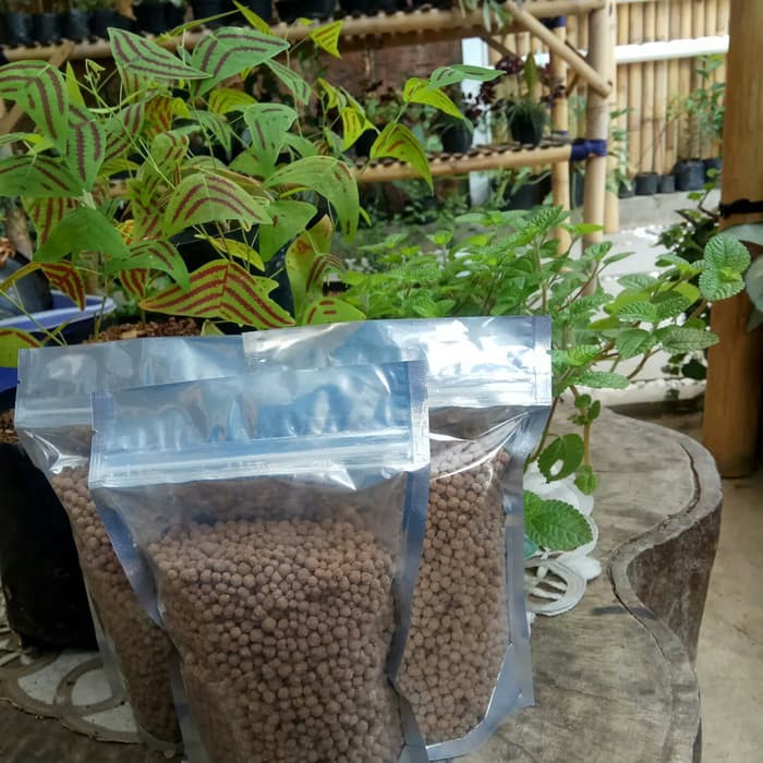pupuk organik guano