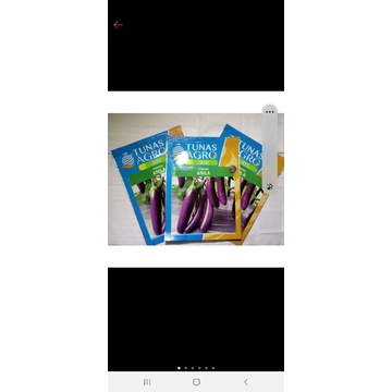 Bibit terong ungu tunas agro (bisa cod)
