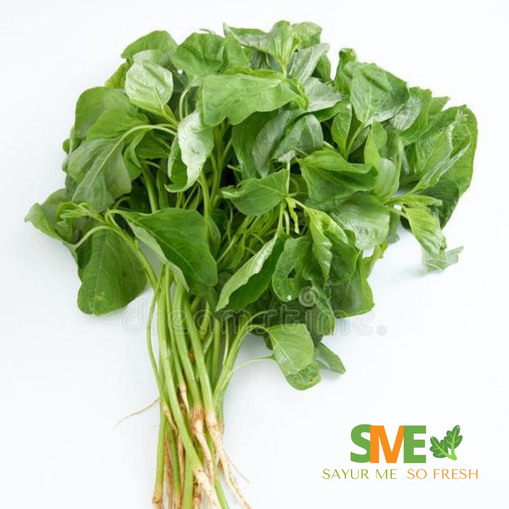 

Bayam Segar 1 Ikat Ukuran Besar