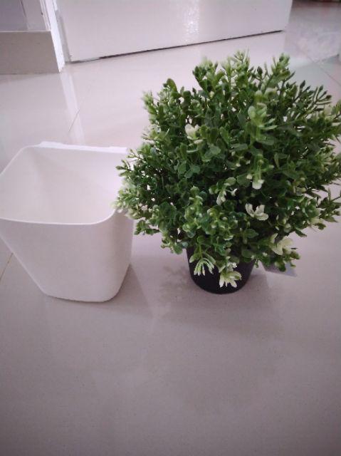 Fejka, Tanaman Tiruan Dalam Pot, Oregano, timi, Rosemary 9 Cm