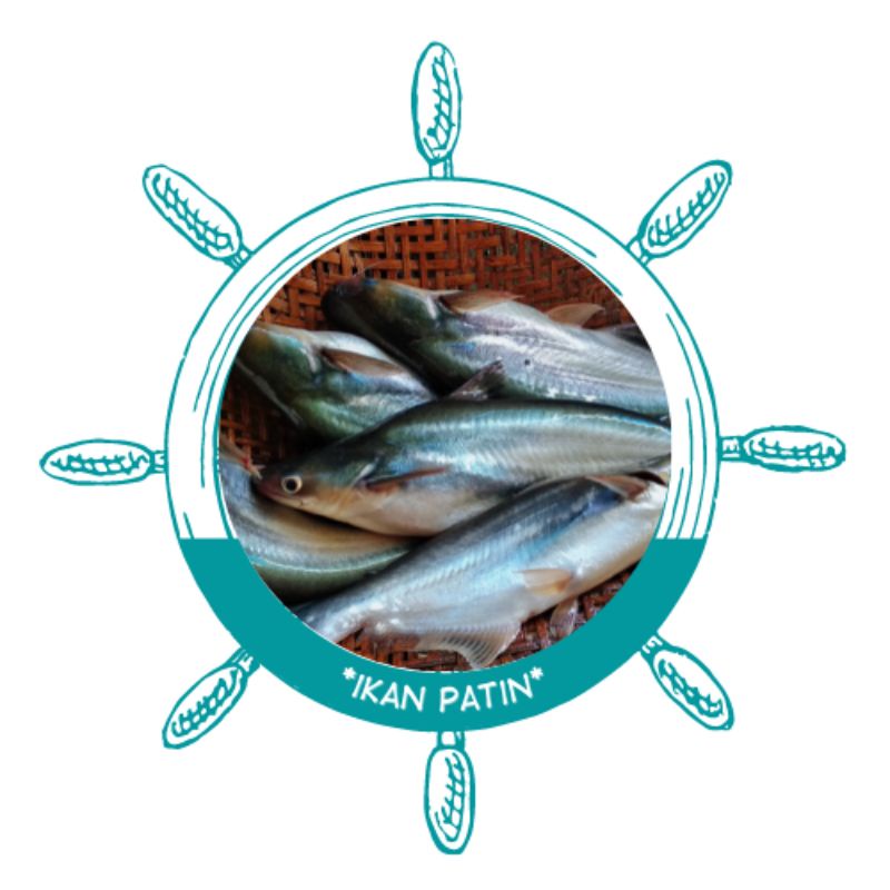 Ikan patin segar | ikan patin surabaya | ikan patin fresh | ikan patin besar